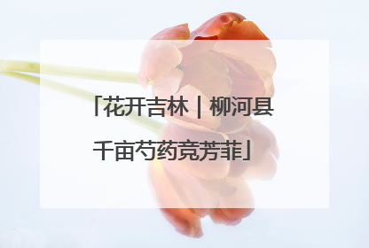 花开吉林｜柳河县千亩芍药竞芳菲