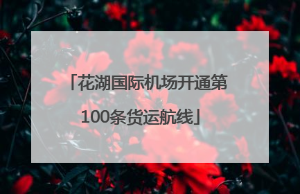 花湖国际机场开通第100条货运航线