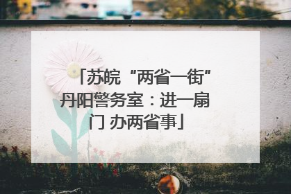 苏皖“两省一街”丹阳警务室：进一扇门 办两省事