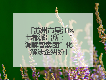苏州市吴江区七都派出所：“调解智囊团”化解涉企纠纷