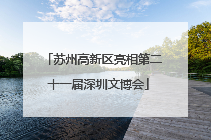 苏州高新区亮相第二十一届深圳文博会