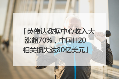 英伟达数据中心收入大涨超70%，中国H20相关损失达80亿美元