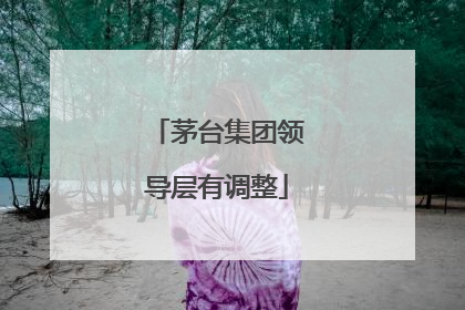 茅台集团领导层有调整