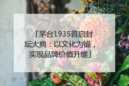 茅台1935首启封坛大典：以文化为锚，实现品牌价值升维