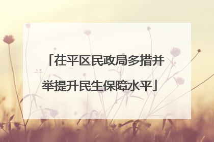 茌平区民政局多措并举提升民生保障水平
