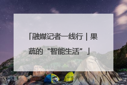 融媒记者一线行｜果蔬的“智能生活”