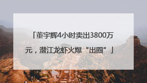 董宇辉4小时卖出3800万元，潜江龙虾火爆“出圈”