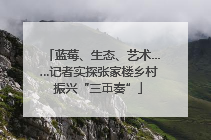蓝莓、生态、艺术……记者实探张家楼乡村振兴“三重奏”