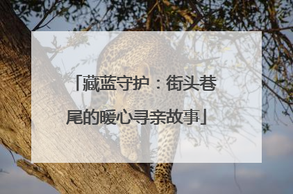 藏蓝守护：街头巷尾的暖心寻亲故事