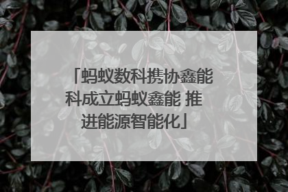 蚂蚁数科携协鑫能科成立蚂蚁鑫能 推进能源智能化