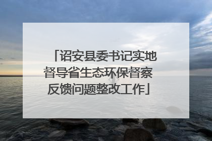 诏安县委书记实地督导省生态环保督察反馈问题整改工作