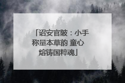 诏安官陂：小手称量本草韵 童心熔铸国粹魂