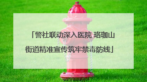 警社联动深入医院 珞珈山街道精准宣传筑牢禁毒防线