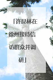 许昆林在徐州接待信访群众并调研