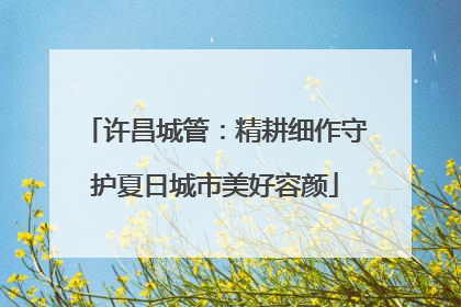 许昌城管：精耕细作守护夏日城市美好容颜