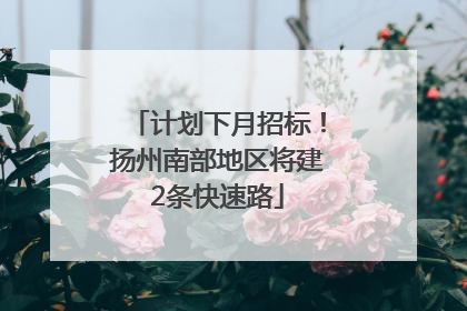 计划下月招标！扬州南部地区将建2条快速路