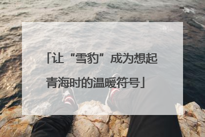 让“雪豹”成为想起青海时的温暖符号