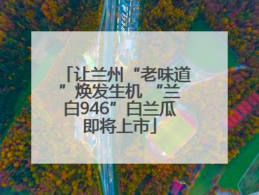让兰州“老味道”焕发生机 “兰白946”白兰瓜即将上市