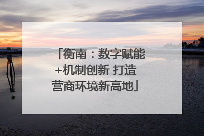 衡南：数字赋能+机制创新 打造营商环境新高地