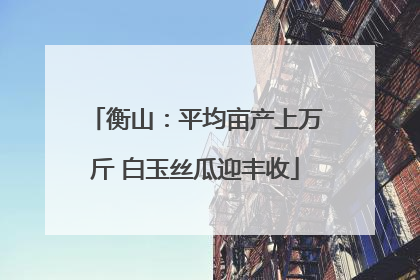 衡山：平均亩产上万斤 白玉丝瓜迎丰收