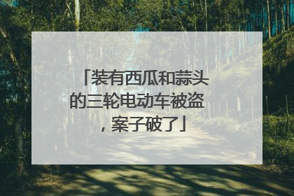 装有西瓜和蒜头的三轮电动车被盗，案子破了