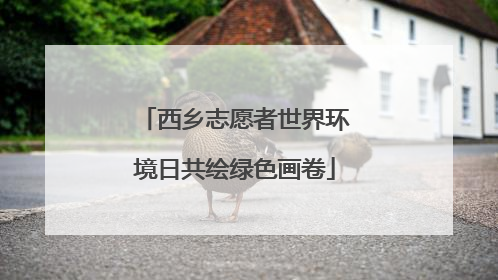 西乡志愿者世界环境日共绘绿色画卷