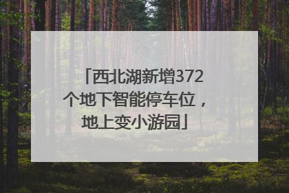 西北湖新增372个地下智能停车位，地上变小游园