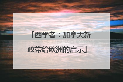 西学者：加拿大新政带给欧洲的启示