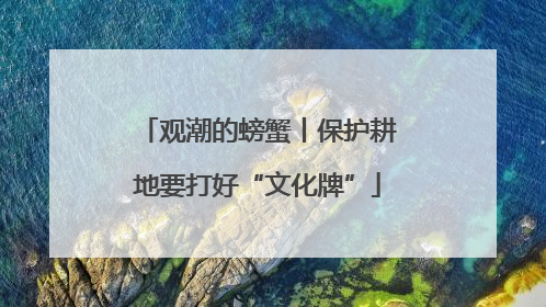 观潮的螃蟹丨保护耕地要打好“文化牌”