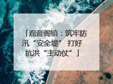 观音阁镇：筑牢防汛“安全堤” 打好抗洪“主动仗”