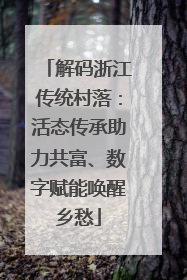 解码浙江传统村落：活态传承助力共富、数字赋能唤醒乡愁