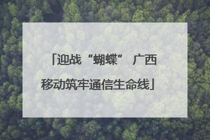 迎战“蝴蝶” 广西移动筑牢通信生命线