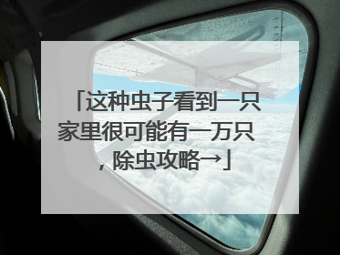 这种虫子看到一只家里很可能有一万只，除虫攻略→
