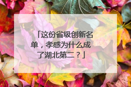 这份省级创新名单，孝感为什么成了湖北第二？