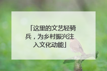 这里的文艺轻骑兵，为乡村振兴注入文化动能