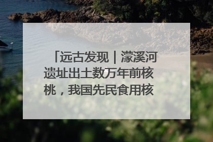 远古发现｜濛溪河遗址出土数万年前核桃，我国先民食用核桃历史大幅提前