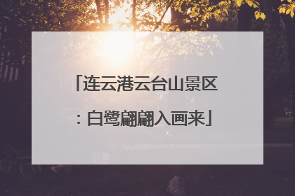 连云港云台山景区：白鹭翩翩入画来