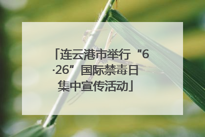 连云港市举行“6·26”国际禁毒日集中宣传活动