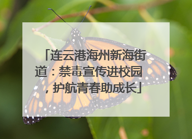 连云港海州新海街道：禁毒宣传进校园，护航青春助成长