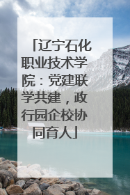 辽宁石化职业技术学院：党建联学共建，政行园企校协同育人