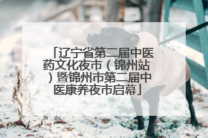 辽宁省第二届中医药文化夜市（锦州站）暨锦州市第二届中医康养夜市启幕