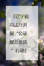 辽宁省司法厅开展“公证规范优质”行动