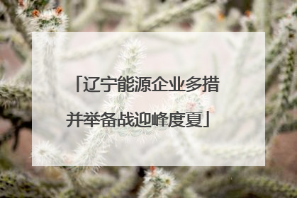 辽宁能源企业多措并举备战迎峰度夏
