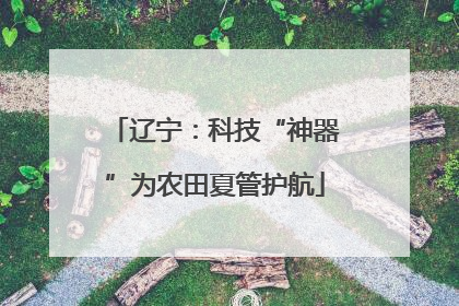 辽宁：科技“神器”为农田夏管护航