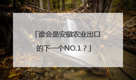 谁会是安徽农业出口的下一个NO.1？