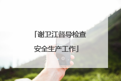 谢卫江督导检查安全生产工作