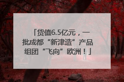 货值6.5亿元，一批成都“新津造”产品组团“飞向”欧洲！
