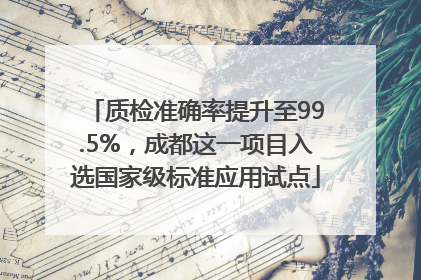 质检准确率提升至99.5%，成都这一项目入选国家级标准应用试点