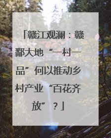 赣江观澜：赣鄱大地“一村一品”何以推动乡村产业“百花齐放”？