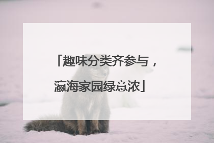 趣味分类齐参与，瀛海家园绿意浓